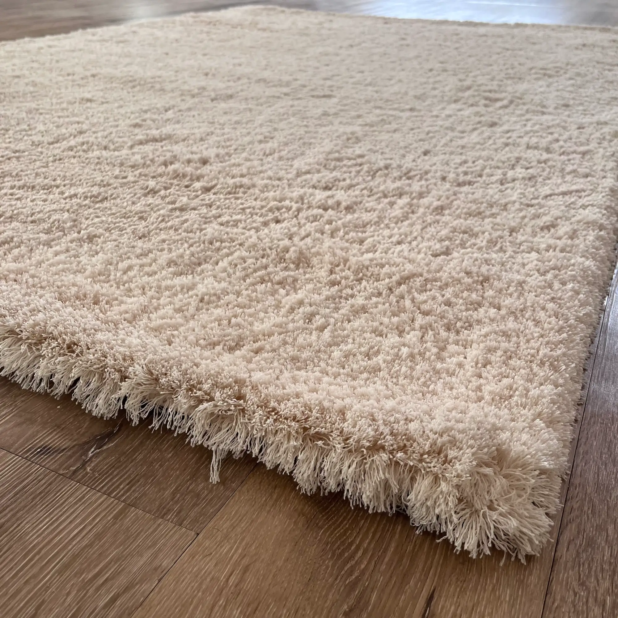 Alain, 100% Polyester Pile, Outdoor Shaggy Hand Woven Area Rug, Cream